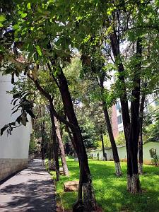 Kunming - Universite du Yunnan (25)